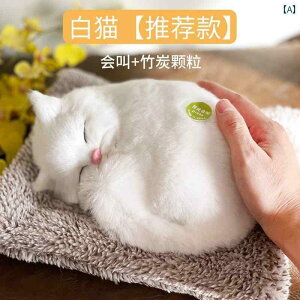 CeA IuWF    i 2025 ̎q  hL V~[V  ʂ L 