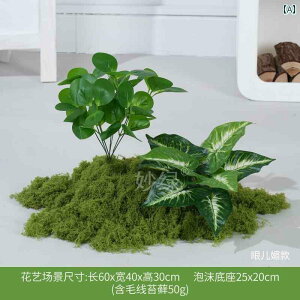 CeA IuWF   rO [ i fBXvC EBhE Ki R[i[   CAEg oCIjbN tFCN vgp A V~[V