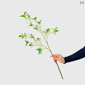 CeA IuWF  VvƂ V~[V ؂ } tR  rO [   A   zu ܂