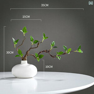 CeA IuWF  A V~[V ͂ꂽ } ݂  n ς炢  K^ t Ԃ  ΂ ƒp t[AWg   A[g