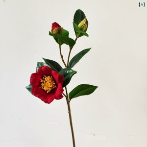 CeA IuWF  R ւ } Ԃ     ƒp Ƌ Xg rO [ Vv