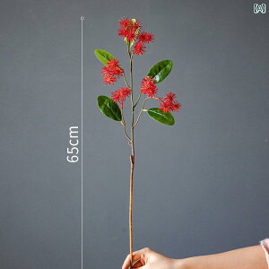 CeA IuWF  Juhan tFCN hS Ђ t[c } Vv z[ [ fR[V rO |[` O u` t[AWg i