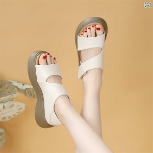 T_ Vv   p \tg \[ T_ 2025 v   r[` V[Y t