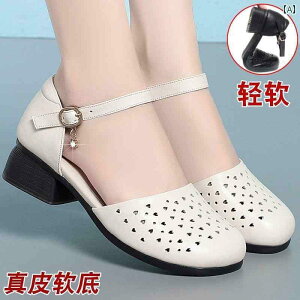  T_ fB[X N }}   T_ p 2025 U[ fB[XV[Y \tg {g ~ U[V[Y Ҍ