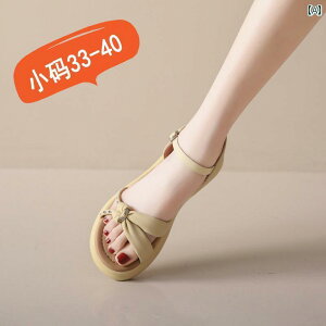  T_ fB[X  TCY 33 v 34 T_ fB[X ėp tFA[ X^C JWA t`t@bV ~ r[` V[Y