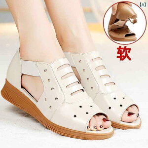  T_ fB[X p [} T_ \tg \[ v ؂ ~ v ėp }U[ V[Y 傫TCY fB[XV[Y