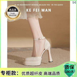 fB[X q[  t` [WF[ nCq[ EFfBOV[Y h  C  fI X[p[ o[r[ V[Y p v` n[t Lbv T_