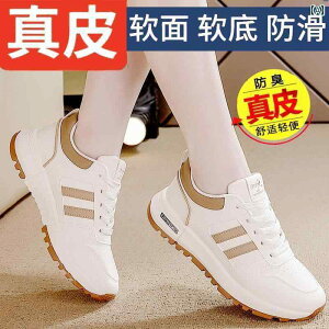 fB[X Xj[J[ 킢 v X|[c V[Y p 2025 zbg X^C JWA zCg yʂ ϖ