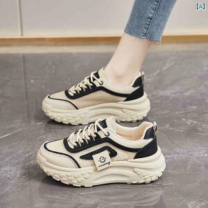 fB[X Xj[J[ 킢 p V[Y  2025 ~ y zbg X^C _bh  bV ʋC ^ X|[c