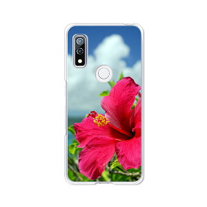 �y���������zdocomo arrows We F-51B au FCG01 softbank A101FC �N���A�n�[�h�P�[�X TPU �\�t�g�P�[�X �J�o�[ �X�}�z�P�[�X�y�n�C�r�X�J�X�ƊC�z �A���[�Y �E�B�[ �X�}�[�g�t�H���J�o�[�@�g�уP�[�X