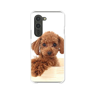 arrows Alpha F-51F A[YAt@f51f Jo[ P[X NAn[hP[X X}zP[Xyzyv[hzarrows alpha f51f X}zP[X X}z P[X X}[gtHJo[ gуP[X