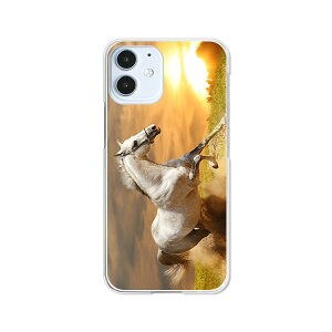 apple iPhone12 mini �P�[�X/�J�o�[ �@�y���������z�y�삯��n�z�A�C�z��12�~�j �X�}�[�g�t�H���J�o�[�E�P�[�X
