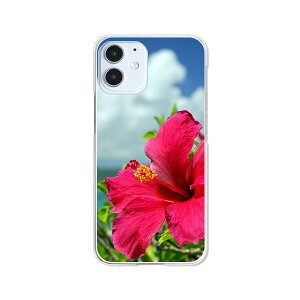 apple iPhone12 mini �P�[�X/�J�o�[ �@�y���������z�y�n�C�r�X�J�X�ƊC�z�A�C�z��12�~�j �X�}�[�g�t�H���J�o�[�E�P�[�X