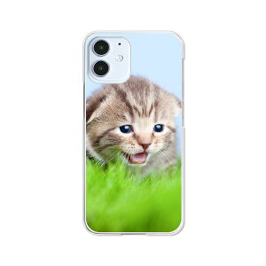 apple iPhone12 mini �P�[�X/�J�o�[ �@�y���������z�y�������j�����z�A�C�z��12�~�j �X�}�[�g�t�H���J�o�[�E�P�[�X