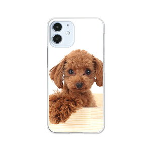 apple iPhone12 mini P[X/Jo[ @yzyv[hzACz12~j X}[gtHJo[EP[X