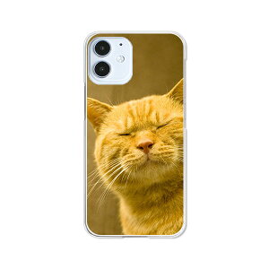 apple iPhone12 mini �P�[�X/�J�o�[ �@�y���������z�y��y�͔L�ł��閼�O�͂܂��j�����z�A�C�z��12�~�j �X�}�[�g�t�H���J�o�[�E�P�[�X