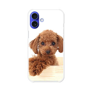 iPhone16 Plus apple docomo au softbank �J�o�[ �P�[�X �N���A�n�[�h�P�[�X �X�}�z�P�[�X �y���������z�y�v�[�h���z�A�C�t�H��16�v���X �X�}�z�P�[�X �X�}�z �P�[�X �X�}�[�g�t�H���J�o�[ �g�уP�[�X
