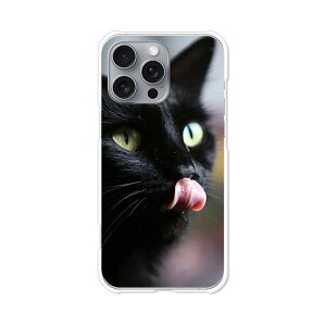 iPhone16 Pro Max apple docomo au softbank Jo[ P[X NAn[hP[X X}zP[X yzyCatIzACtH16v}bNX X}zP[X X}z P[X X}[gtHJo[ gуP