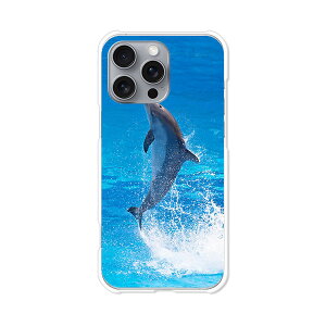 iPhone16 Pro Max apple docomo au softbank Jo[ P[X NAn[hP[X X}zP[X yzyhtBzACtH16v}bNX X}zP[X X}z P[X X}[gtHJo[ 