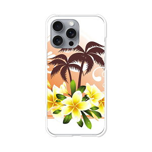 iPhone16 Pro Max apple docomo au softbank �J�o�[ �P�[�X �N���A�n�[�h�P�[�X �X�}�z�P�[�X �y���������z�y�썑�T�}�[�z�A�C�t�H��16�v���}�b�N�X �X�}�z�P�[�X �X�}�z �P�[�X �X�}�[�g�t�H���J�o�[ 