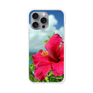 iPhone16 Pro Max apple docomo au softbank Jo[ P[X NAn[hP[X X}zP[X yzynCrXJXƊCzACtH16v}bNX X}zP[X X}z P[X X}[gtHJ