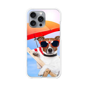 iPhone16 Pro Max apple docomo au softbank �J�o�[ �P�[�X �N���A�n�[�h�P�[�X �X�}�z�P�[�X �y���������z�y�T�}�[��񂱁z�A�C�t�H��16�v���}�b�N�X �X�}�z�P�[�X �X�}�z �P�[�X �X�}�[�g�t�H���J�o�[