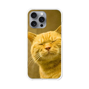 iPhone16 Pro Max apple docomo au softbank �J�o�[ �P�[�X �N���A�n�[�h�P�[�X �X�}�z�P�[�X �y���������z�y��y�͔L�ł��閼�O�͂܂��j�����z�A�C�t�H��16�v���}�b�N�X �X�}�z�P�[�X �X�}�z �P�[�X �X