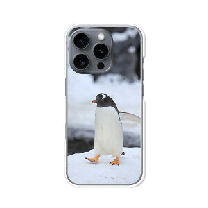 【送料無料】iPhone16Pro apple docomo au softbank クリアハードケース TPU ソフトケース カバー スマホケース【ペンギン】 docomo au softbank simfree スマートフォンカバー 携帯ケース