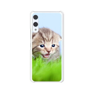 �y���[�zRakuten Hand 5G P780 4G P710 �y�V���o�C�� �N���A�n�[�h�P�[�X TPU �\�t�g�P�[�X �J�o�[ �X�}�z�P�[�X �y���������z�y�������j�����z �y�V�n���h �y�Vhand �X�}�[�g�t�H���J�o�[�@�g�уP