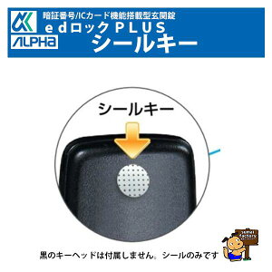 At@@edbNPLUS@IvVi@V[L[@1