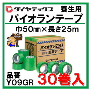 _CebNX@pCIe[v@50mmx25m 30 Y09GR@pCI{e[v