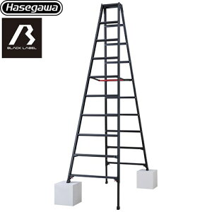 [RYZB-30a] Lkr RYZB 10i JH ͂Er ubN[xV[Y őgpʁF100kg ^b`o[ A~ Vg[` ubN yzyʔzzys