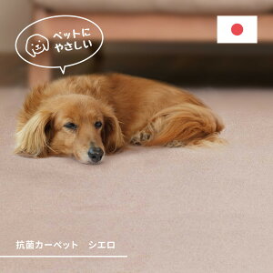 �y���r���[���T�z�~���l�߃J�[�y�b�g �V�G�� �]�ˊ�8�� 8�� �R�� �h�L �J�b�g�p�C�� �y�b�g �܈���������h�~ ���{�� �V���v�� ���킢�� ������� MRF-0197