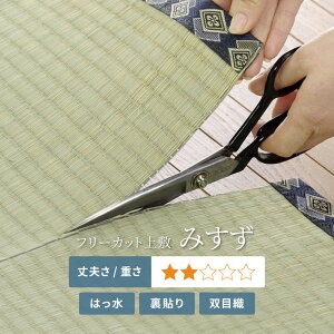 yr[Tz Ő؂  ~ ݂ y]ˊԁA{ԁAcnԁz y2/A3/A4.5/A6/A8/A10/zt[Jbg ͂ hJr L \ ̕ی V