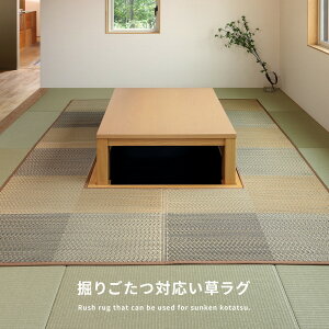 【レビュー特典】掘りごたつ対応 い草ラグ (約191×191cm〜約240×240cm) 正方形 長方形 中抜き い草ラグ 市松模様 抗カビ 消臭 ござ 炬燵 シンプル かわいい おしゃれ