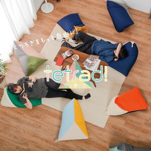 �y���r���[���T�z�r�[�Y�N�b�V���� �e�g���b�h ��50×80×50cm �O�p �w������ �r�[�Y��[�\ �}���`�J���[ �V���v�� ���킢�� ������� MRF-0141