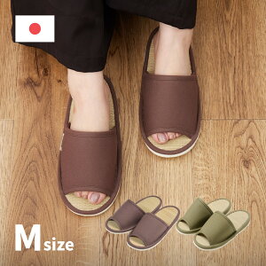 yr[Tz YXbp g MTCY 26cm q~z { [V[Y Xbp  Vv 킢  MRF-0574