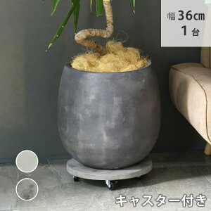 yr[Tzy|Cg5{z ZgLX^[tv^[L[36cm TR360 a36 X^h t[X^h x[X LX^[  u ԑ v^[  Ce