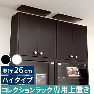 yr[Tz RNVbN [^nC^CvipujVv 킢  SZ-0039