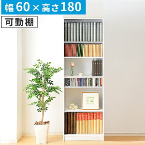 yr[Tz ړIbNA}KWbNi60cmjIVőeʂȎ[{IACAEg R Vv 킢  SZ-0328