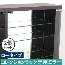 【レビュー特典】 【ミラーのみ】 コレクションラック 専用ミラー2枚セット（ロータイプ用/深型・浅型共通）鏡 反射 短納期 シンプル かわいい おしゃれ