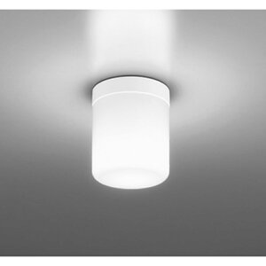 �I�[�f���b�N[OW269051NR]�����Ɩ�