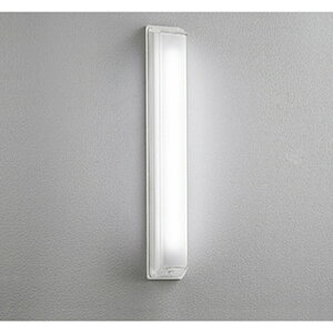 �I�[�f���b�N[OG254099R]�G�N�X�e���A�E���O�p