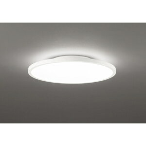 �I�[�f���b�N[OL291618BR]�V�[�����O���C�g