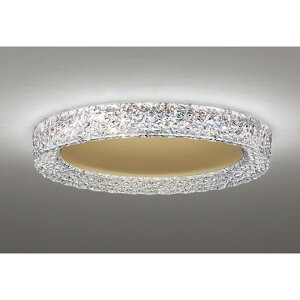 �I�[�f���b�N[OL291635BR]�V�[�����O���C�g