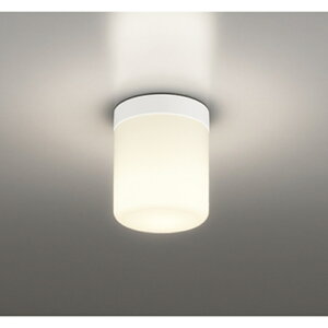 �I�[�f���b�N[OW269051LR]�V�[�����O���C�g