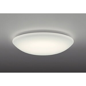 �I�[�f���b�N[OL251816WR]�V�[�����O���C�g