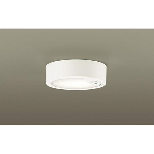 �p�i�\�j�b�N[LGBC58031LE1]�V�[�����O���C�g