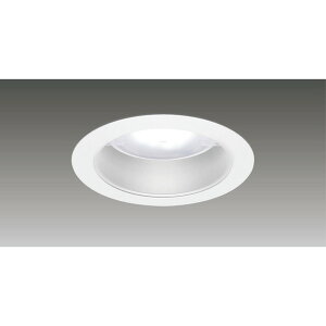 ���Ń��C�e�b�N[LEKD253023W-LS9]2500���j�b�g�����`DL��ʌ`