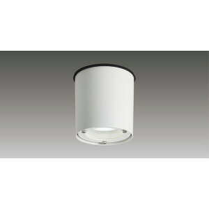 ���Ń��C�e�b�N[LEKG253921L2-LS9]2500���j�b�g�����`DL����CL